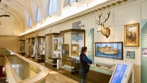 David Levene, Art Fund 2025 A member of the public viewing one of the galleries at Perth Museum
