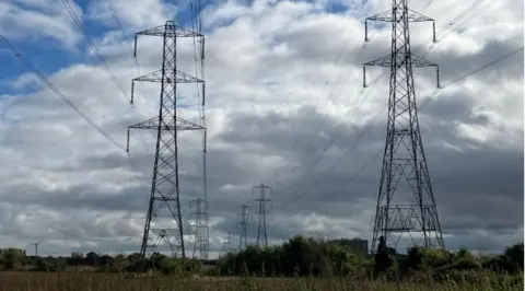 Matt Knight/BBC Two rows of pylons are pictured against a moderately cloudy sky.