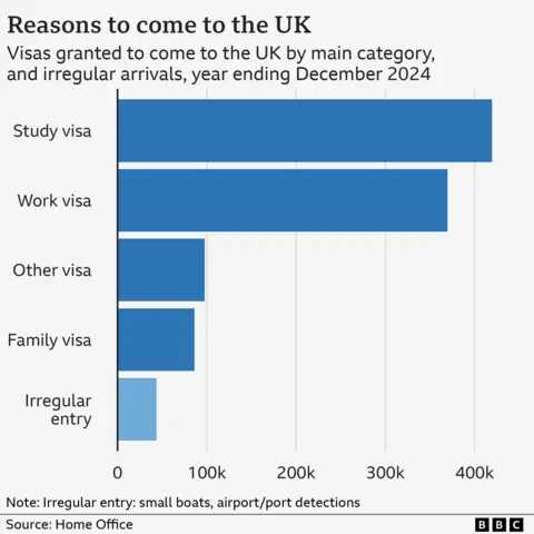 A bar chart showing how study and work are the main types of visa issued to migrants to the UK.