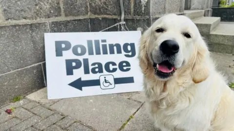 BBC A golden retriever sits in front of a polling place sign with an arrow on it. The dog is looking at the camera with its mouth open. The sign is propped up on a pavement against a grey stone building.